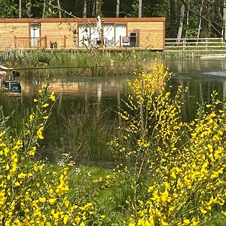 Rowan Boutique Lodge For Couples With A Dog York Zewnętrze zdjęcie