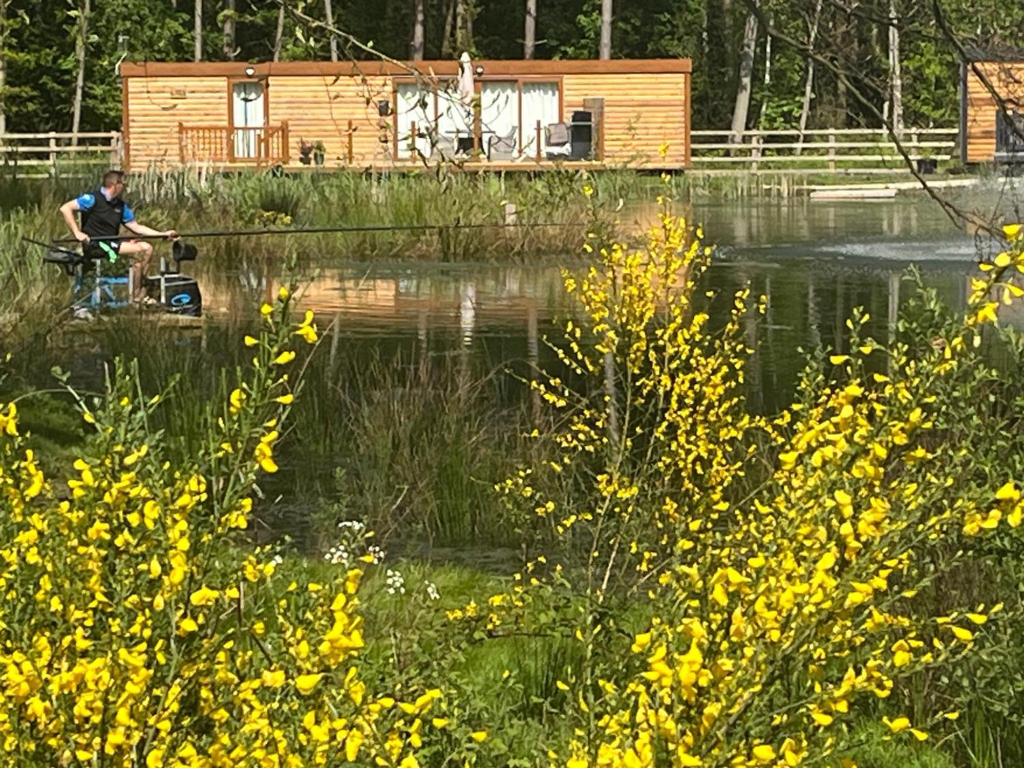 Rowan Boutique Lodge For Couples With A Dog York Zewnętrze zdjęcie