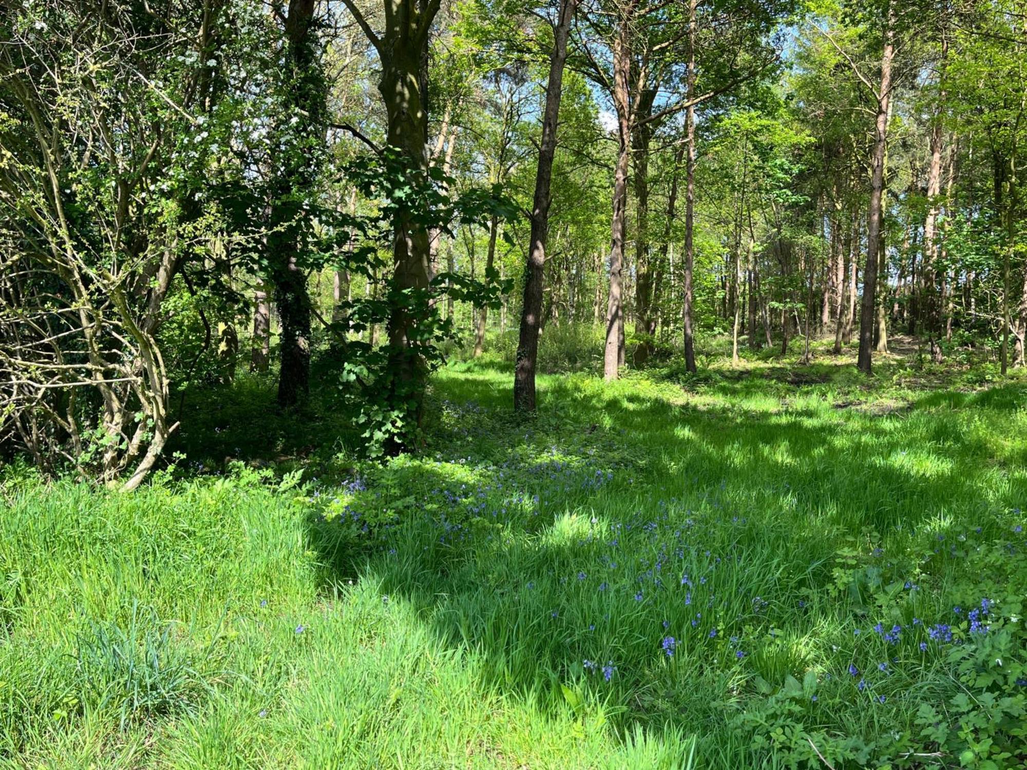 Rowan Boutique Lodge For Couples With A Dog York Zewnętrze zdjęcie